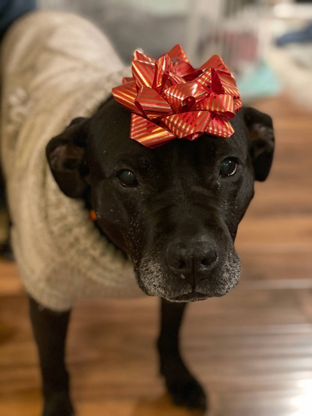Bella