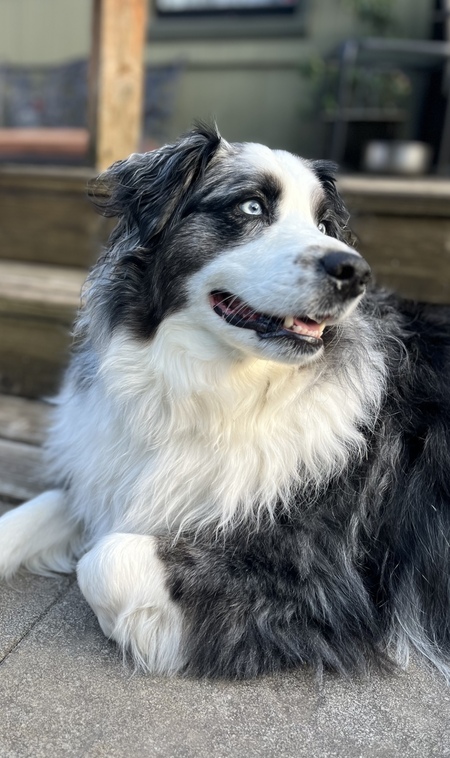 Max