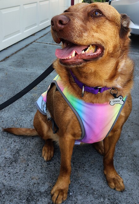 Coco