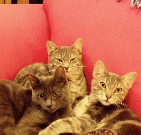 Livie, Gus and Claudie