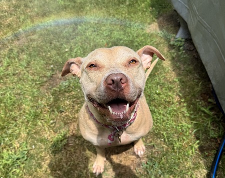 Penelope