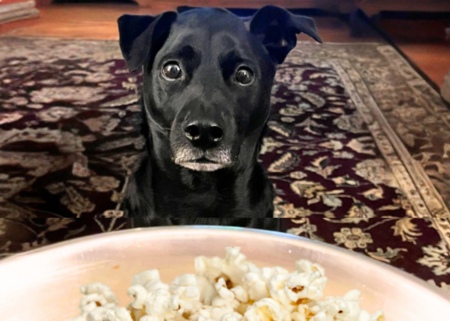 Marquis