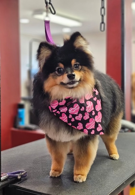 Benny