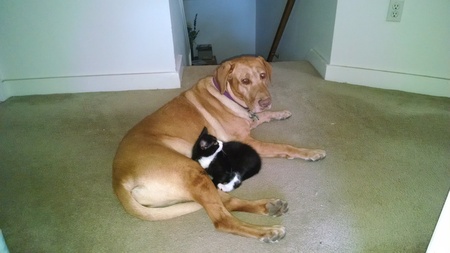 Zoey and Lil Floyd  