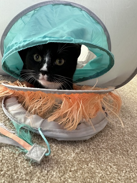 Tux 