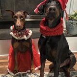 Entry image for Ella & Odin