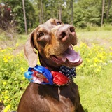 Entry image for Xoey Rose Lacroix 