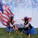 Entry image for Willow and Lexi