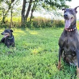 Entry image for Smokey & Penny VanDoren