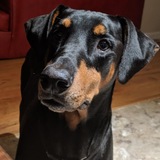 Entry image for Maisie