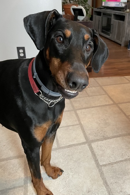 Roxie