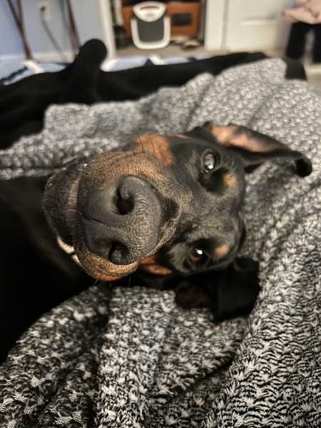 Daisy 