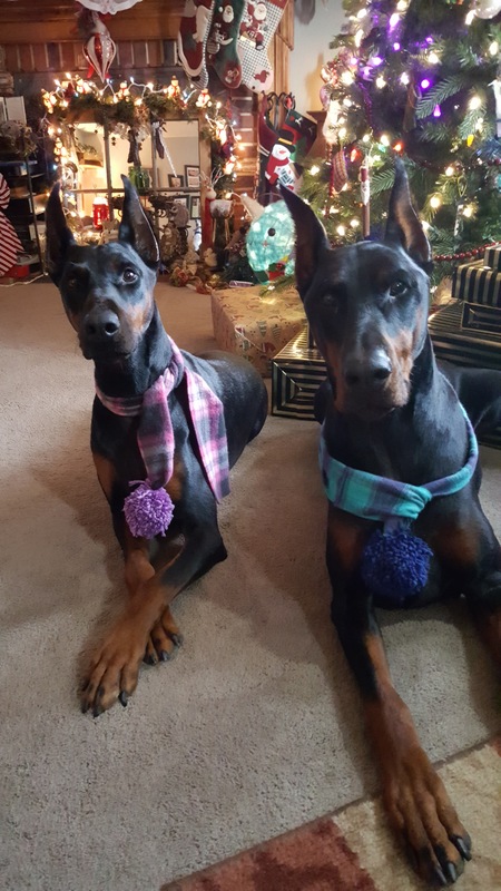Kayla and Tiberius 