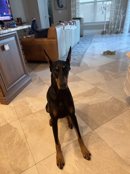 Gabby