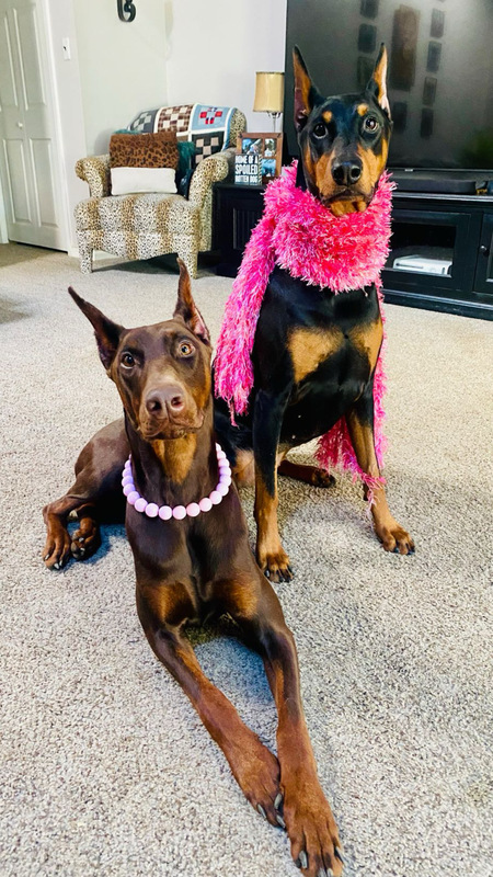 Stella & Maze