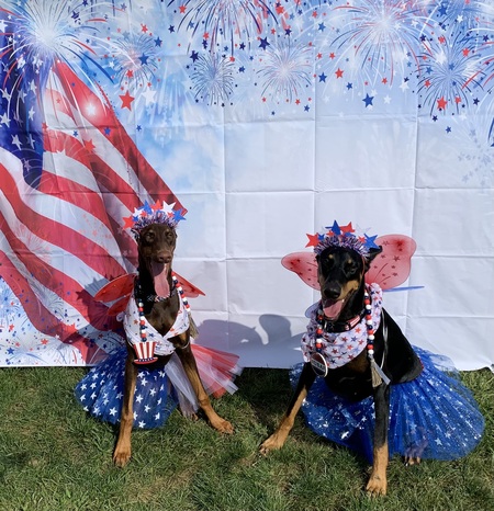 Entry image for Willow and Lexi. Clicking this image will show a larger photo