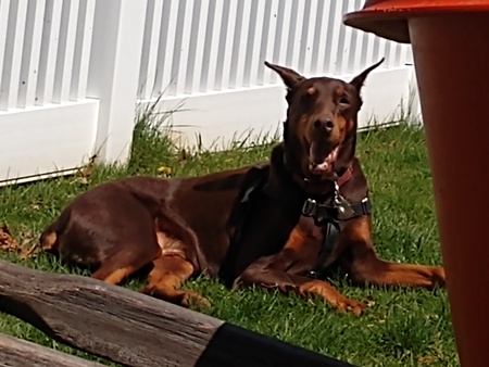 Entry image for Maggie Rivera. Clicking this image will show a larger photo