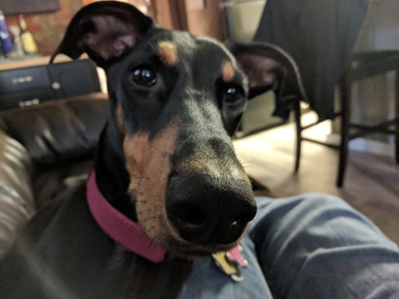 Entry image for Remi. Clicking this image will show a larger photo