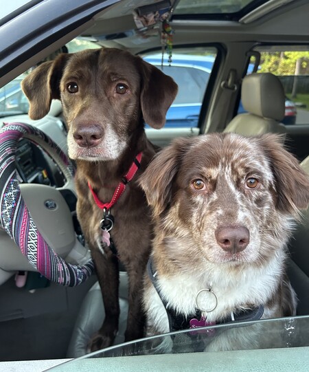 Ella & Samone