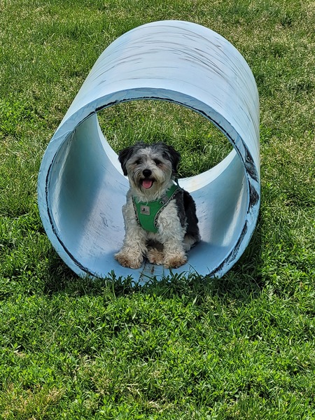 Mitzi