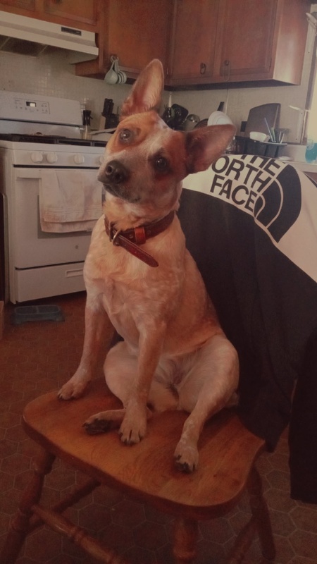 Gertie