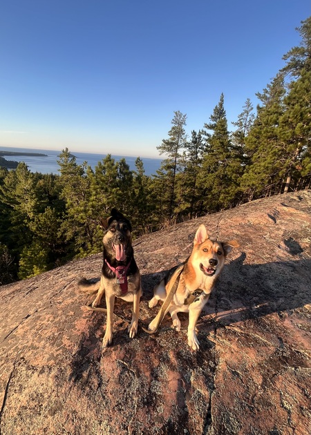 Freda & Copper