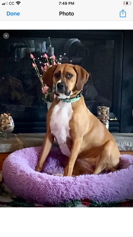 Rosie