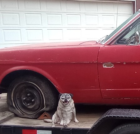 "Mustang" Maddy
