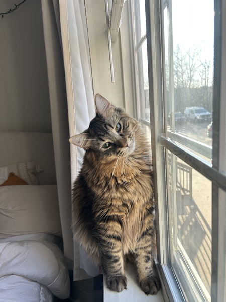 Oscar