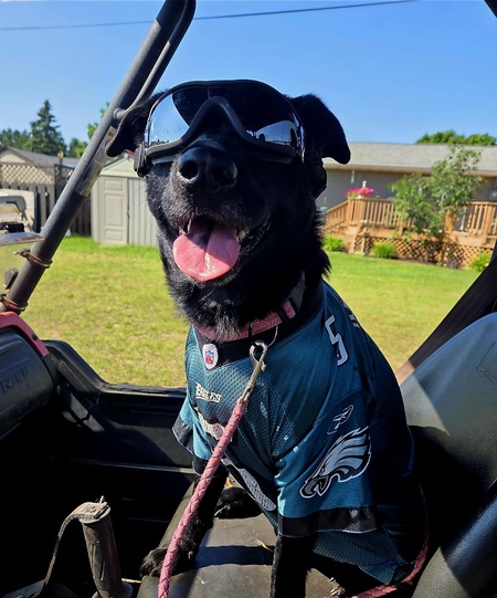 Nova 