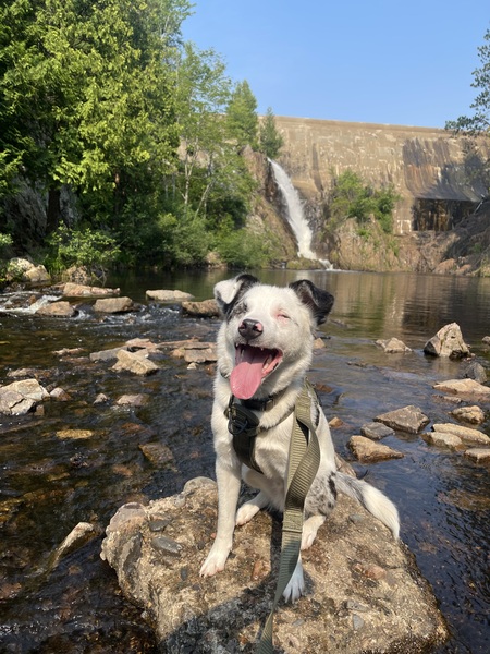 Jericho