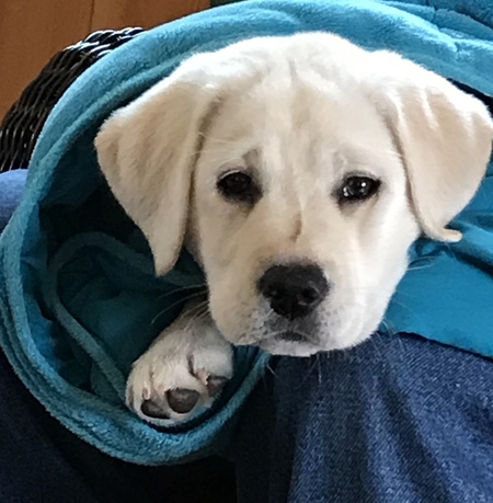 Blanca