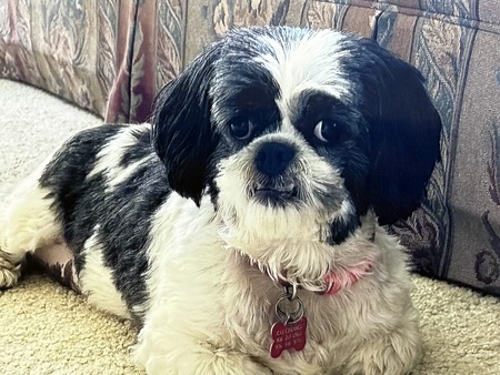 Missy