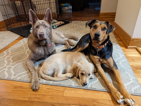 Mocny, Casper and Piper