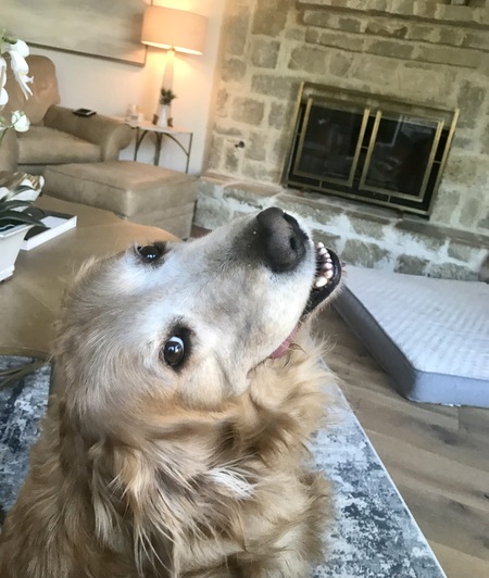 Simba