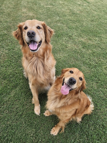 Xanadu and Lilly