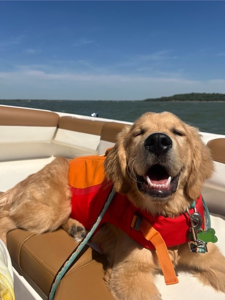 Archie