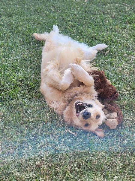 Tamsyn and her toy