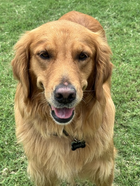 Flynn