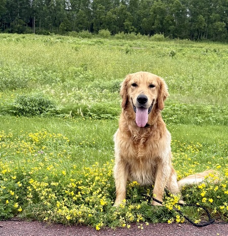 Duke