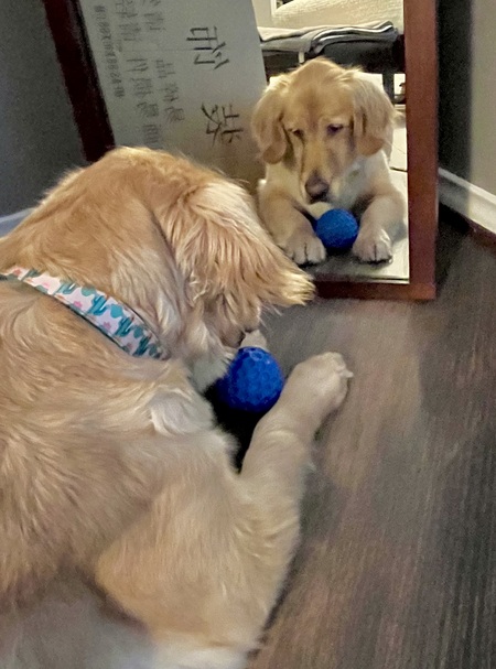 Bonnie Belle