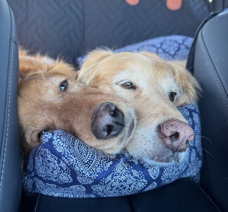 Mercy and Hannah