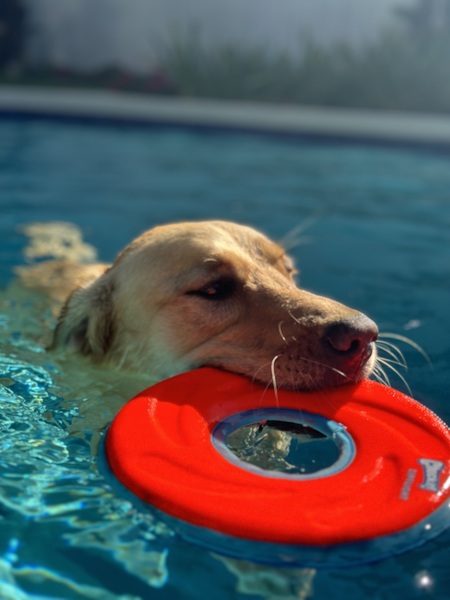 Daisy (yellow girl) 