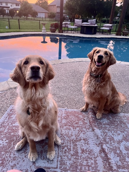 Laia (GRRNT) and Penny