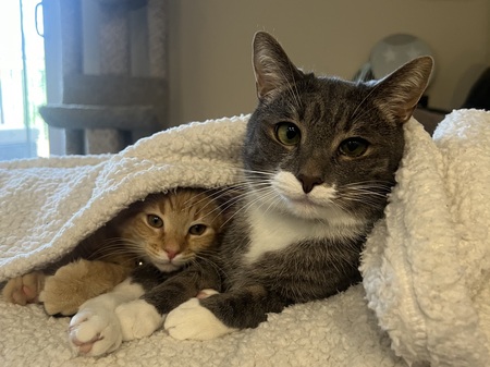 Franklin + Calvin