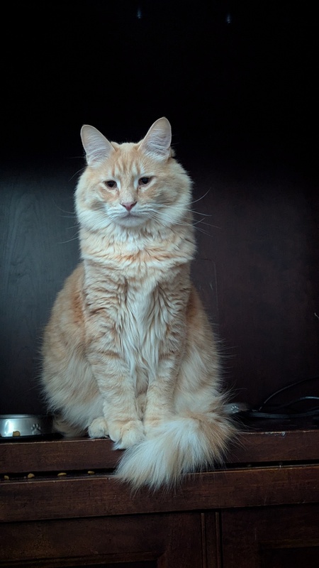 Seamus 