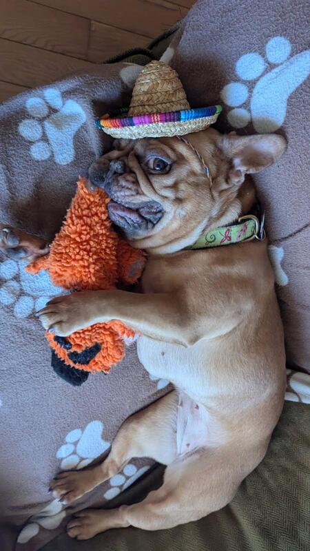 Tater-tot