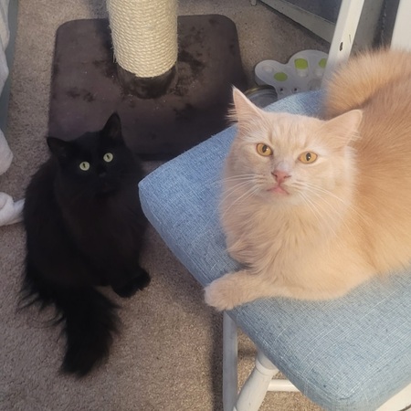 Smokey & Sandy