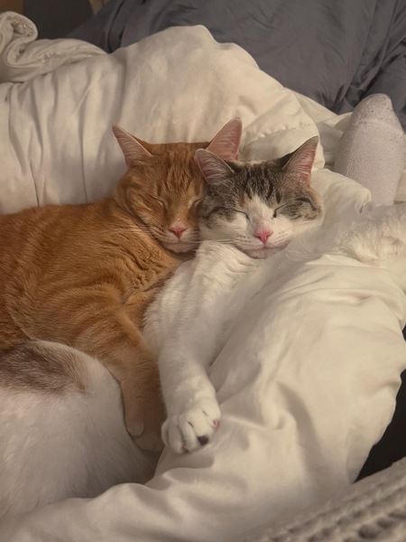 Klaus & Junie