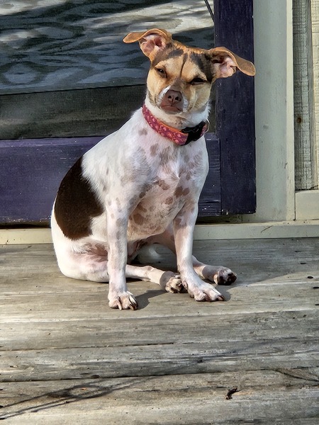 Mindy